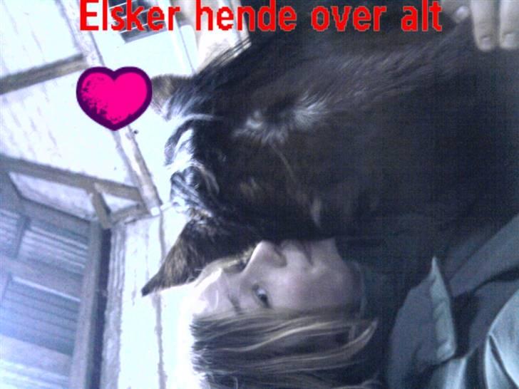 Anden særlig race trunde - smukke dig billede 8