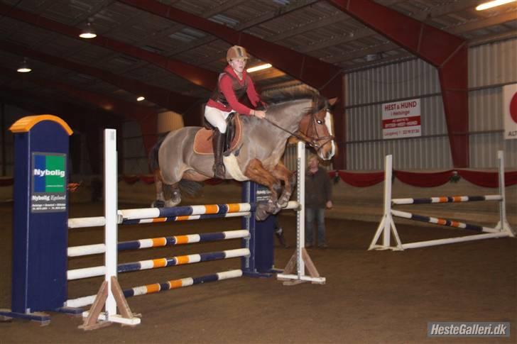 New Forest Fleur   - Højdespring 2009 110 cm billede 15