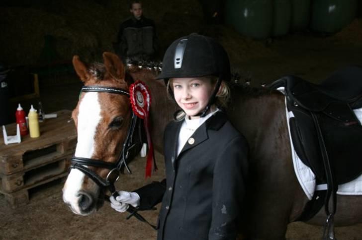 Welsh Pony af Cob-type (sec C) Fanny  (SOLGT) - Mig og fanny med vores 1. plads billede 20