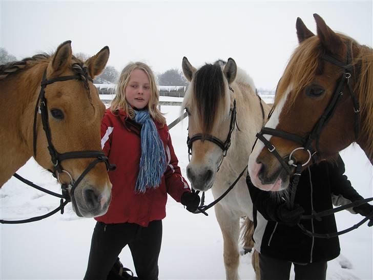Anden særlig race Ivan RIP - Ivan, Mette, Jesper og Thilde. (Vinter 2004) billede 18
