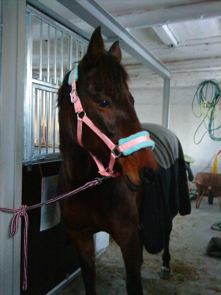 Traver April New SOLGT =( billede 1