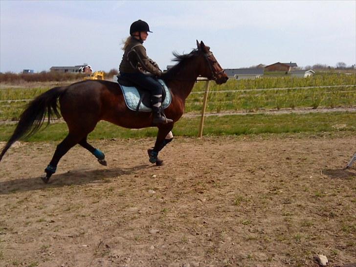 Traver April New SOLGT =( billede 2