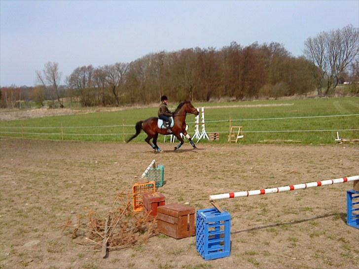 Traver April New SOLGT =( billede 4