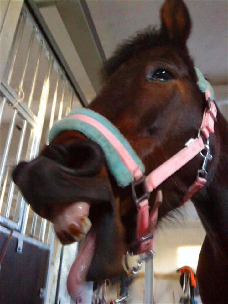 Traver April New SOLGT =( billede 5