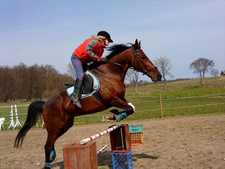 Traver April New SOLGT =( billede 7