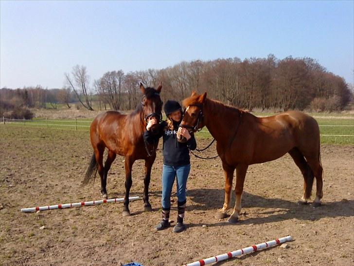 Traver April New SOLGT =( billede 8