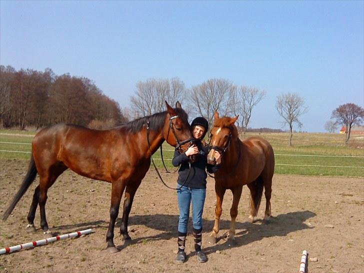 Traver April New SOLGT =( billede 10