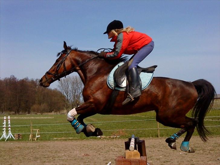 Traver April New SOLGT =( billede 11