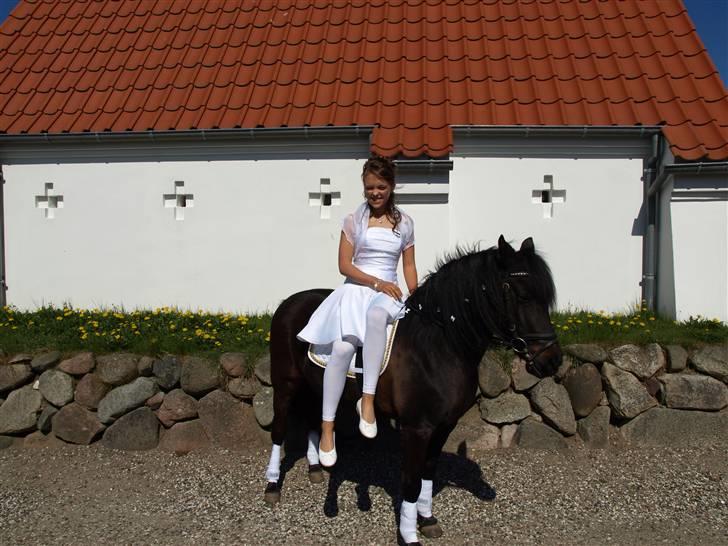 Anden særlig race Flicka (fundet igen) - Konfirmation(; Flicka&mig<3 (foto: jack) billede 15