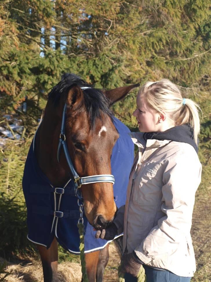 Dansk Varmblod Ann-Star - Ann-Star og jeg :) billede 4