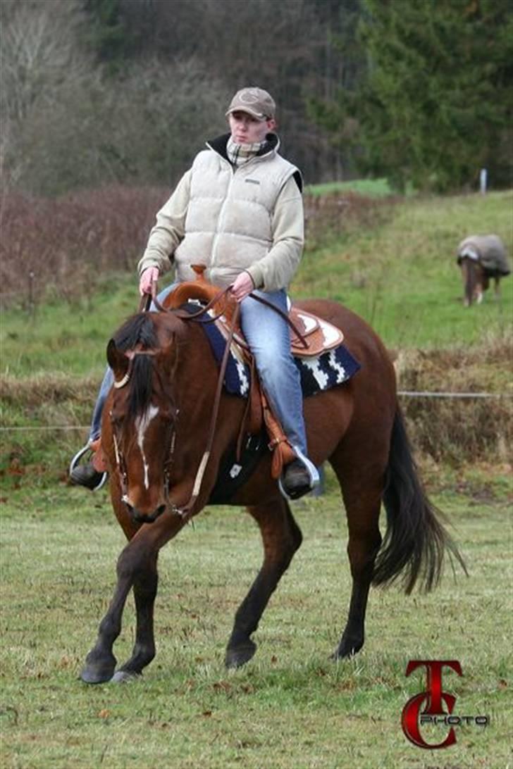 Quarter Super Smooth Beauty - nov 2009 Photo by TC & KJ billede 13