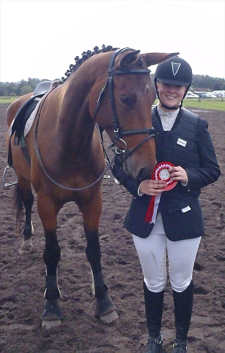 Dansk Varmblod Ann-Star - 1 plads, til vores første militarystævne sammen (; billede 13