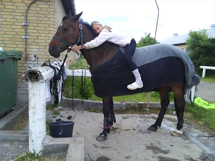 Traver Doit - Doit, der er ingen som dig! <3 billede 19