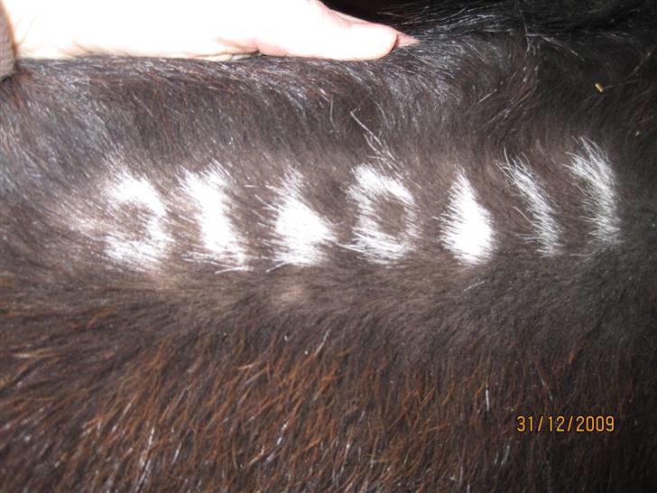 Traver Doit - brændemærke.. billede 17