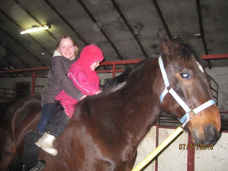 Traver Doit - Den børnevenlige traver :) billede 18