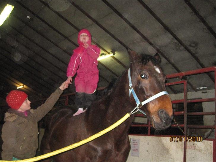 Traver Doit - Man kunne gøre alt med dig! billede 14