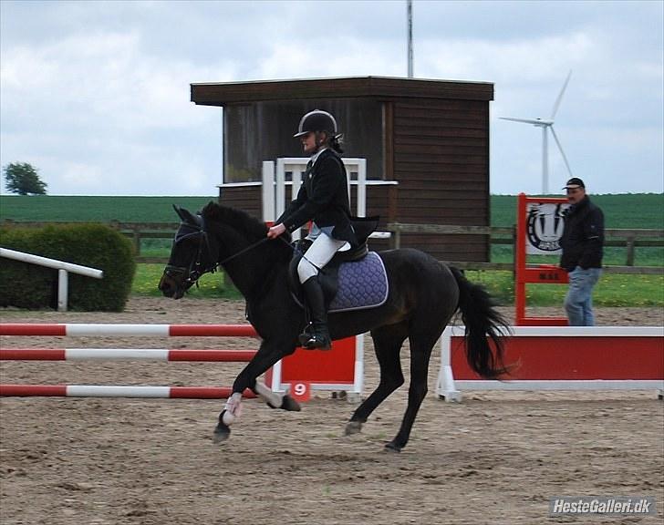 Anden særlig race Dinna<3 - velkommen til dejlige Dinnas profil billede 1