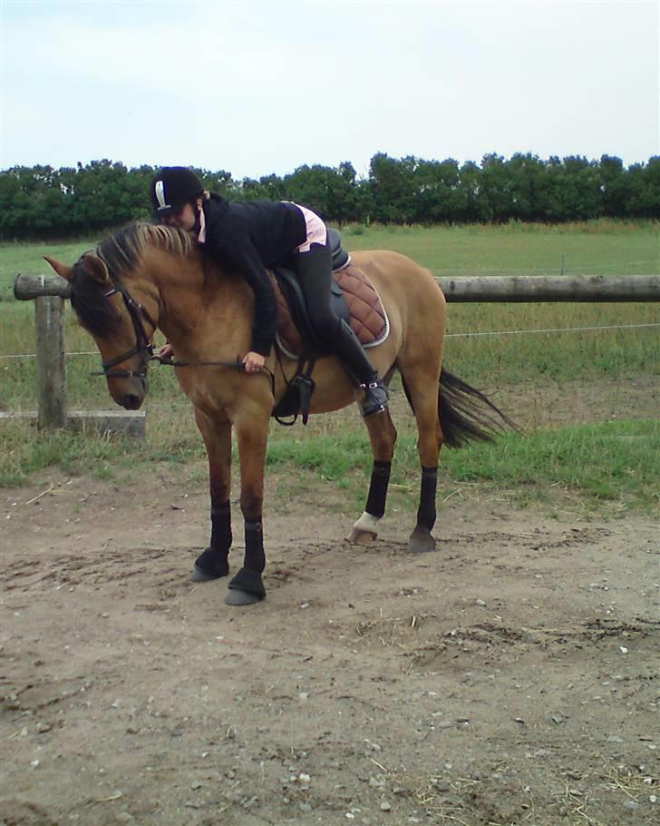 Anden særlig race Cosmos solgt  billede 3