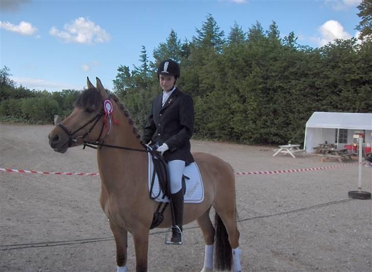 Anden særlig race Cosmos solgt  billede 8