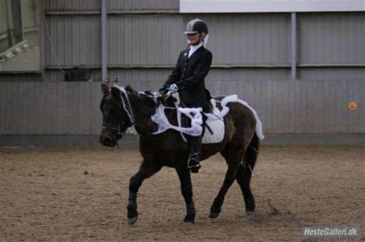 Anden særlig race Dinna<3 billede 3