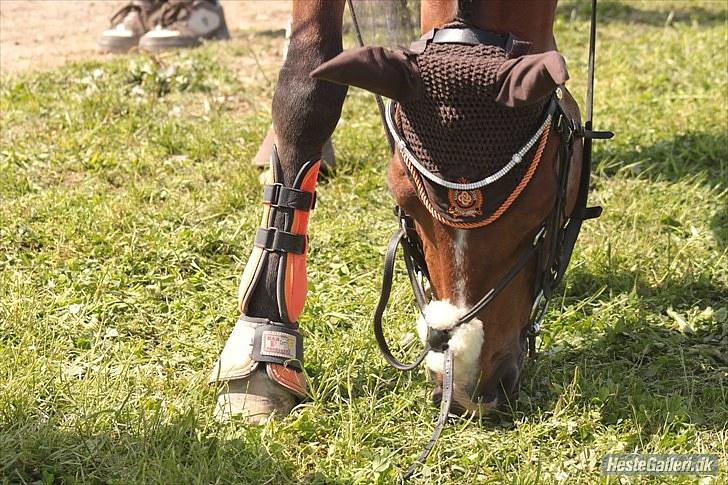 DSP Fontaine | Tidl. Låne (: - Billede af Emma :´D <3  billede 1