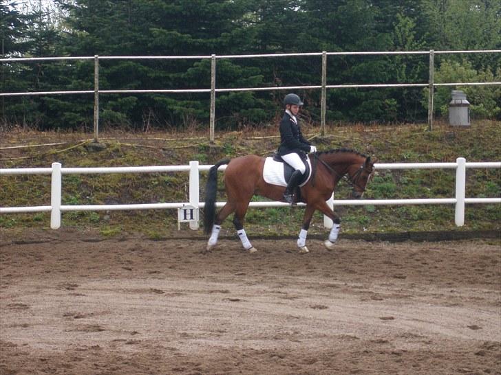 DSP Fontaine | Tidl. Låne (: billede 3