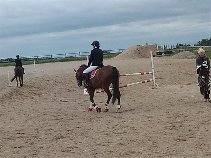 DSP Fontaine | Tidl. Låne (: - 2. afdeling af Farmland cup - Hedensted. LC & LB (; billede 7