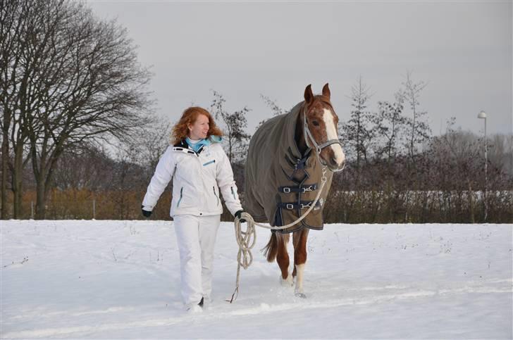 Anden særlig race Zafir R.I.P. - Ude at blive luftet på universitetshospitalet.. billede 16