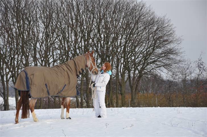 Anden særlig race Zafir R.I.P. - Ude at blive luftet på universitetshospitalet.. billede 17