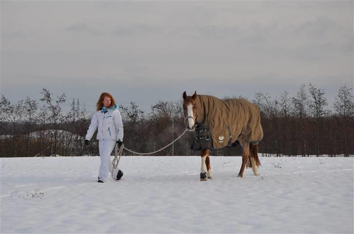 Anden særlig race Zafir R.I.P. - Ude at blive luftet på universitetshospitalet.. billede 18