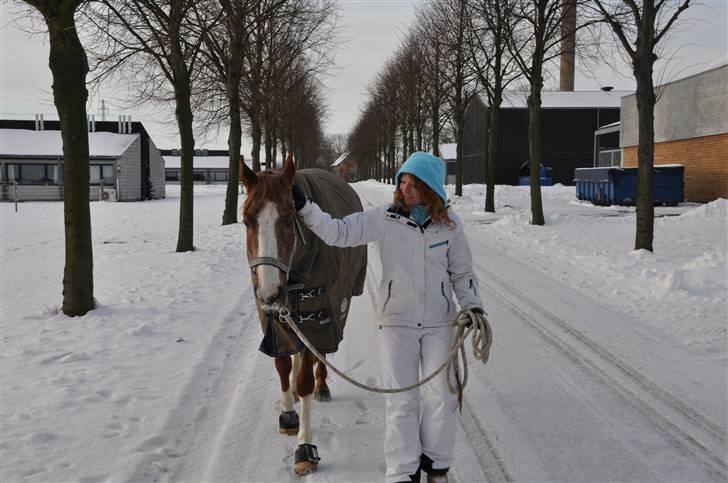 Anden særlig race Zafir R.I.P. - Ude at blive luftet på universitetshospitalet.. billede 19