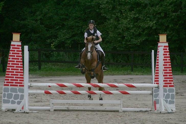 New Forest Tony<3 - Tony og jeg til stævne 80 cm den. 4 August 2010 <3 billede 6