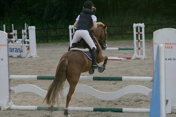 New Forest Tony<3 - Tony og jeg til stævne 80 cm den. 4 August 2010 <3 billede 10