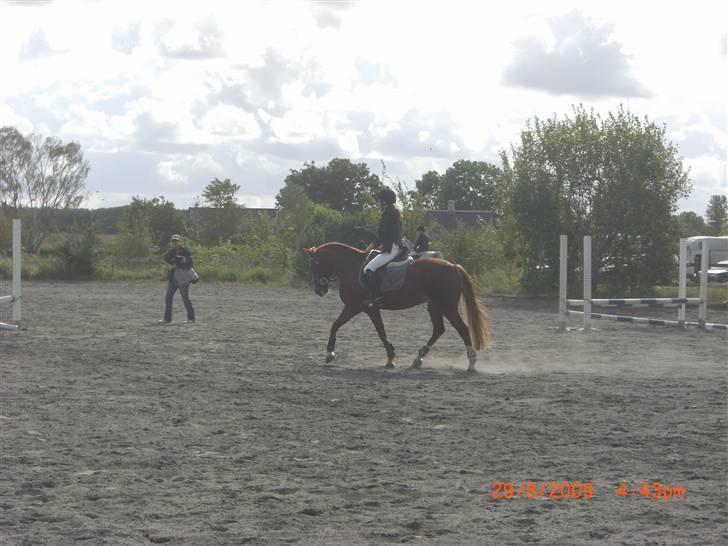 New Forest Tony<3 - Tony og jeg til ørresundscup finalen (opvarmning).:) billede 11