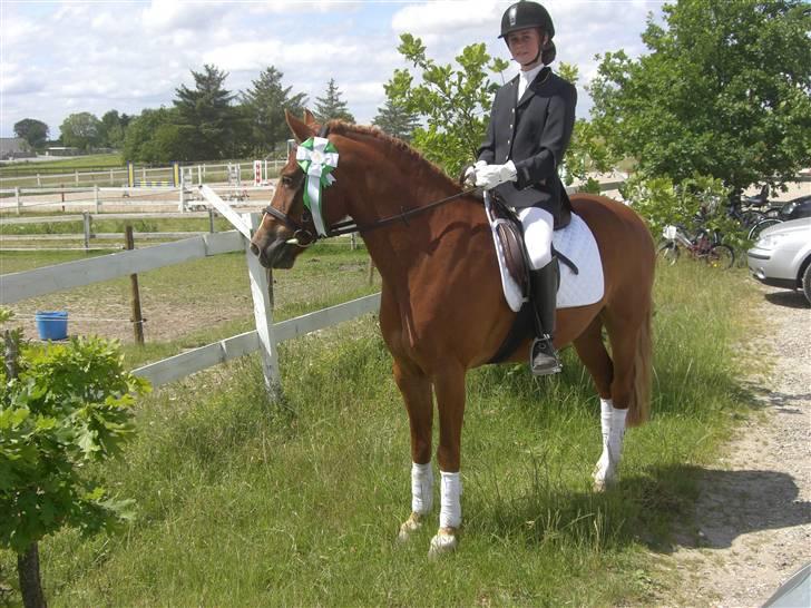 New Forest Tony<3 - Vores første dressur stævne sammen fik en 3.plads billede 13