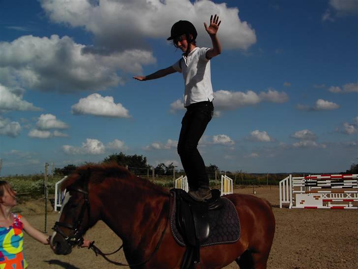 New Forest Tony<3 - Emma og tony (triks)<3 billede 15