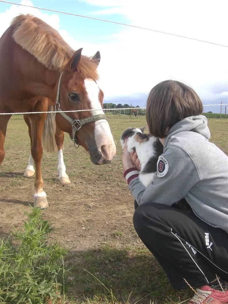 New Forest Tony<3 - Uhh det er tweeky<3 billede 18