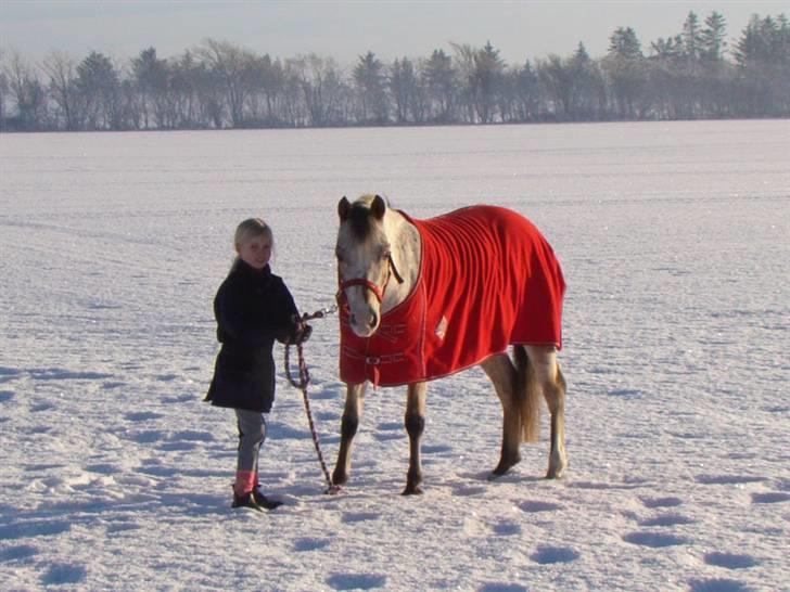 Anden særlig race Quality Amanda billede 12