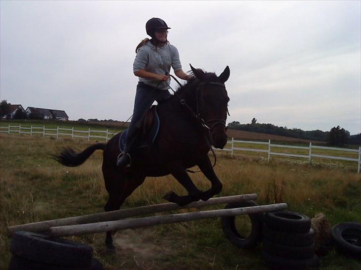 Traver Ibrahim Grau (byttet)  :( - ved godt det ser lidt mishandlet ud men kom nu altså til det og ved det er min fejl billede 4