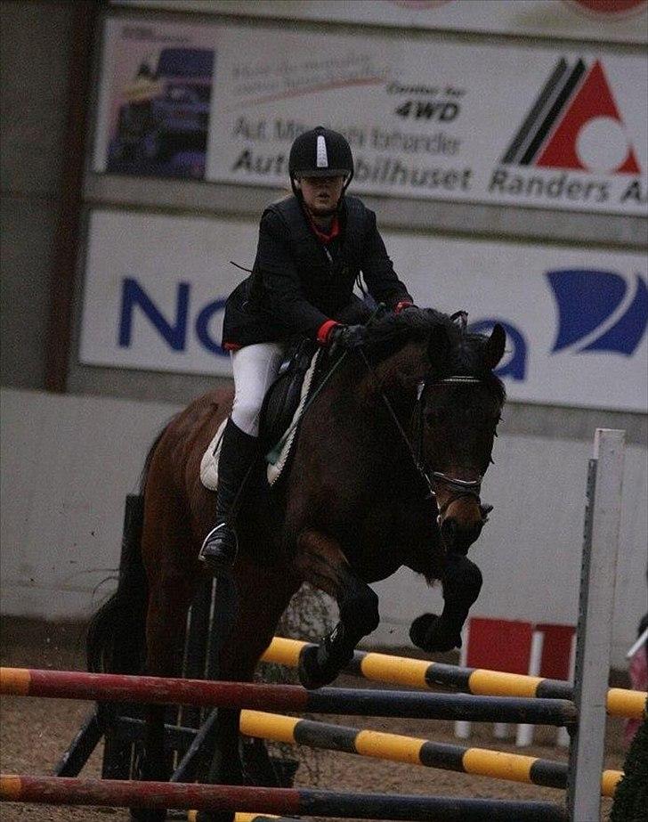 Dansk Varmblod Facit - 3) Lykkeshøj Rideklub, 27 februar 2011. LE. Foto: Malene Markmann - tak billede 3