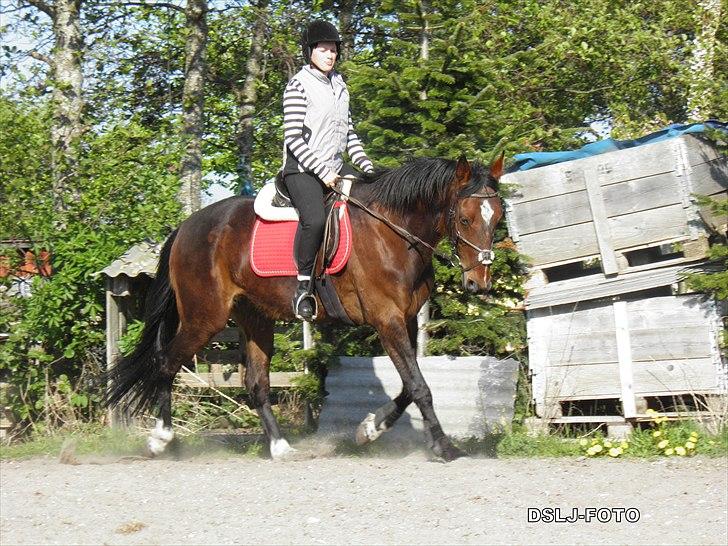 Traver Kaja Hedegården - 6 maj 2011 billede 5
