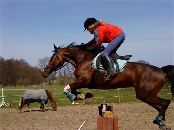 Traver April New SOLGT =( billede 15