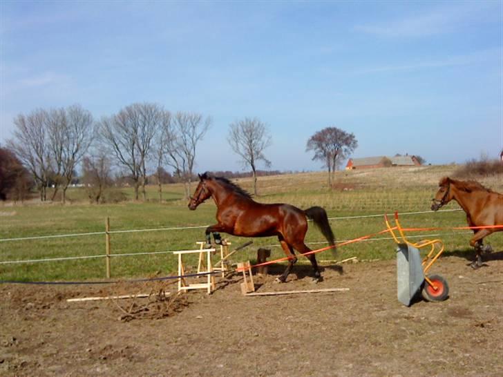 Traver April New SOLGT =( billede 16