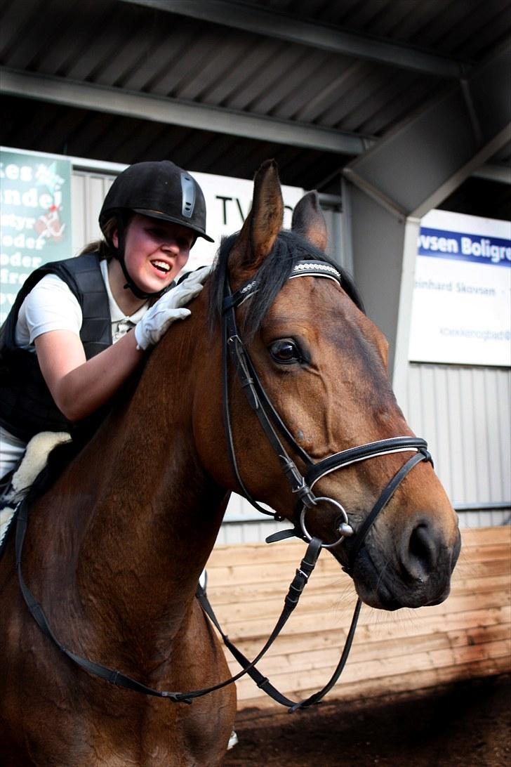 Dansk Varmblod Facit - 8) 21. maj 2010 billede 8