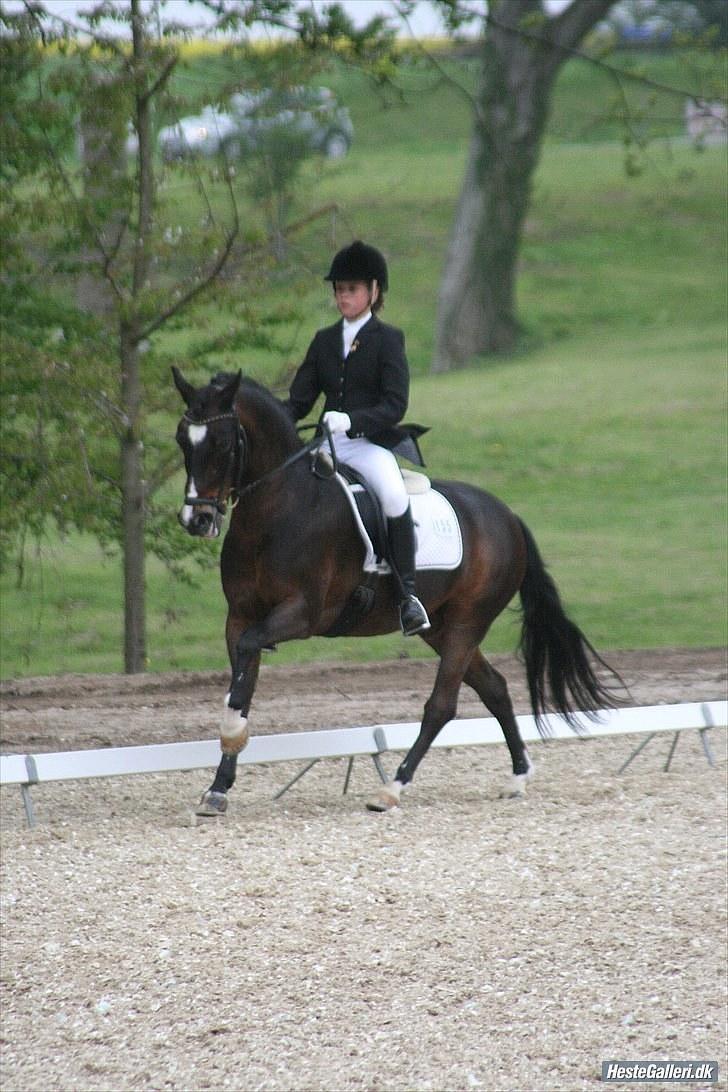 DSP Kosmo Ike - Lån - A-pony - Kosmo og mig på Broholm - foto line eiby billede 1