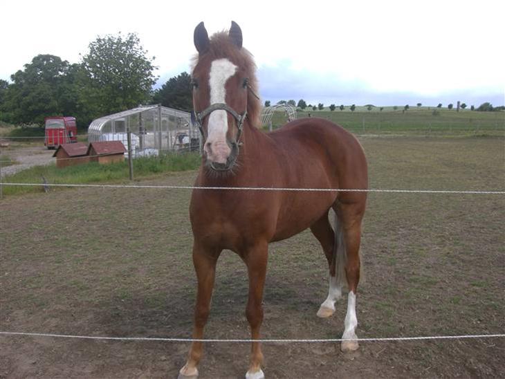 {{currentPhoto.altText}} billede {{currentPhoto.number}}