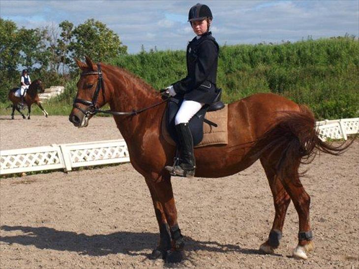 {{currentPhoto.altText}} billede {{currentPhoto.number}}