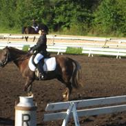 Anden særlig race lucas- gammel part