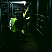 Shetlænder Mikki :*