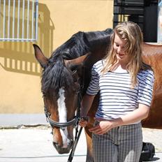 Connemara | Pickwick *gl. part :'(*